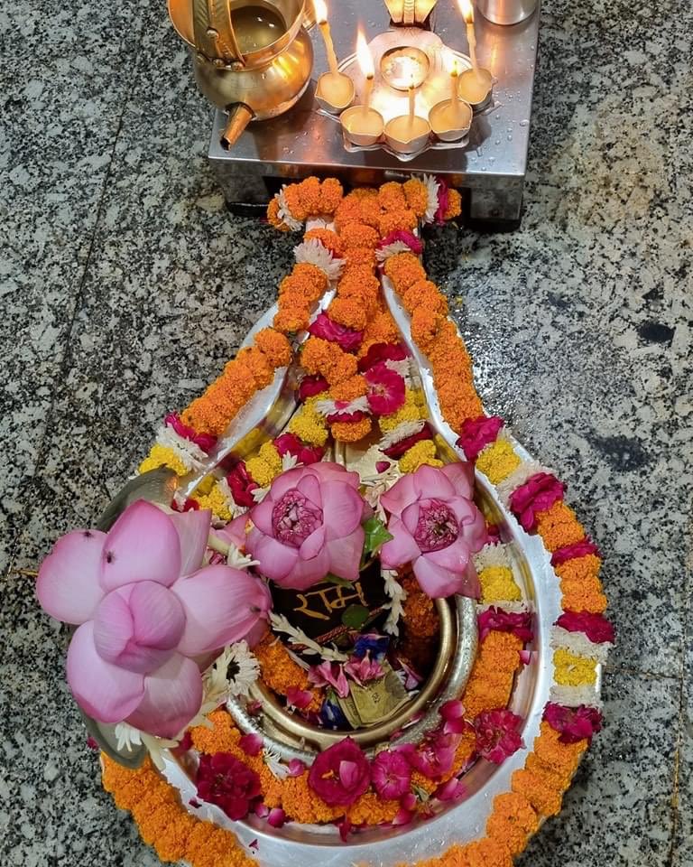 Dr. Somendra Tomar tweet media