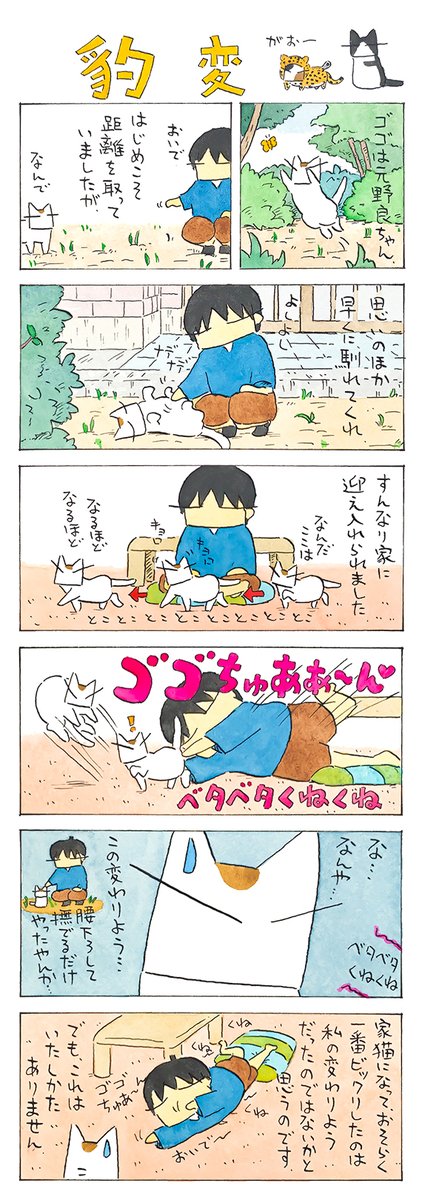 変わる│フェリシモ猫部 