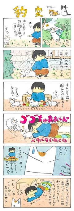 変わる│フェリシモ猫部 