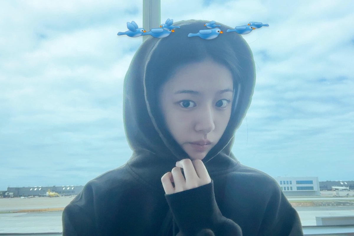 an yujin pics tweet media