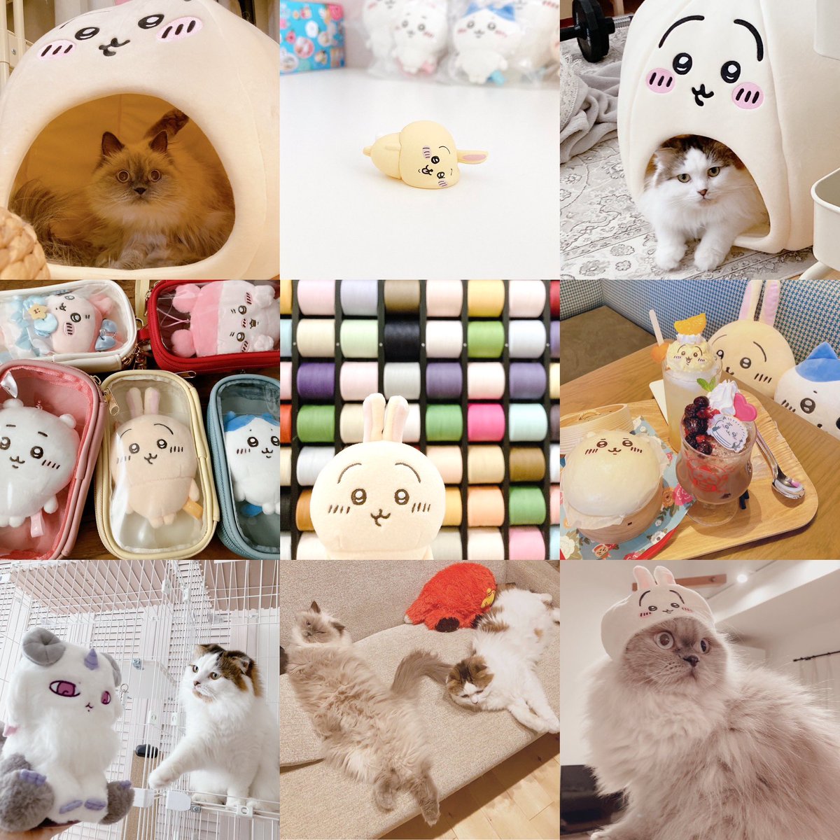 ぴょん (@urayaha0122) / Posts / X