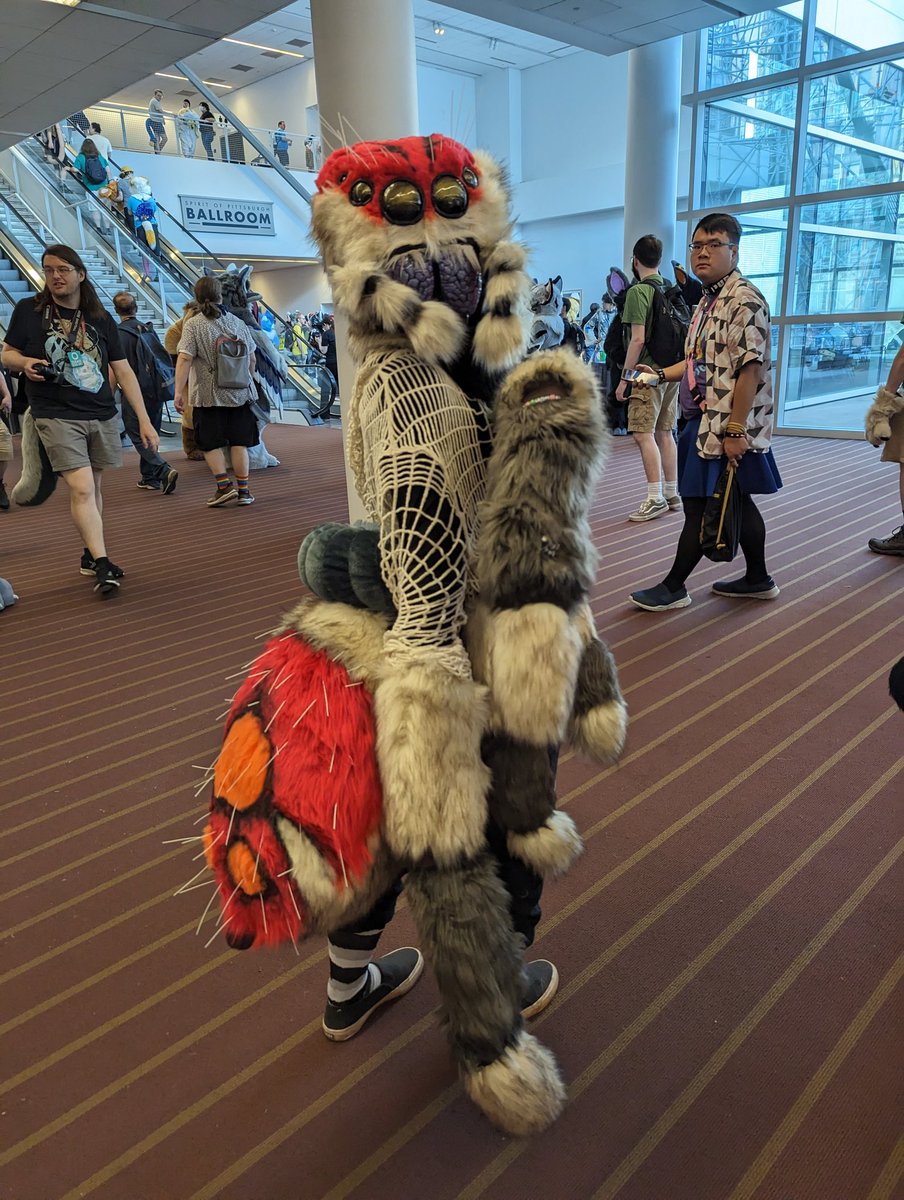 Suzu the Cat tweet media