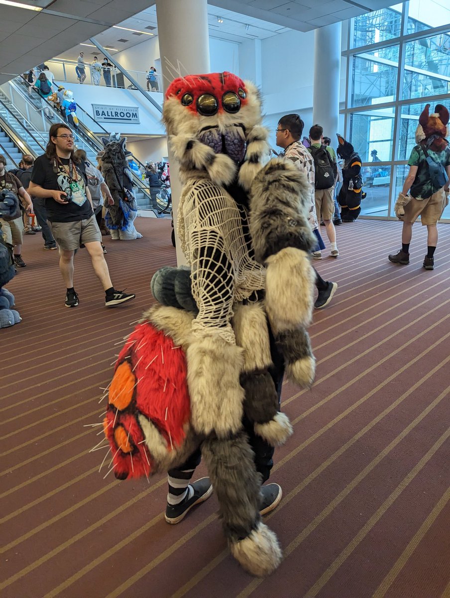 Suzu the Cat tweet media