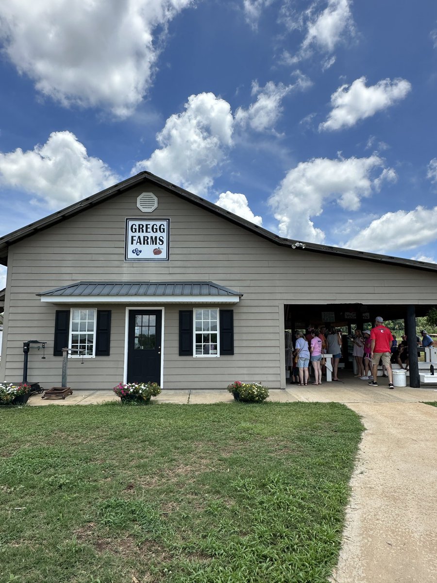 David Widener tweet media