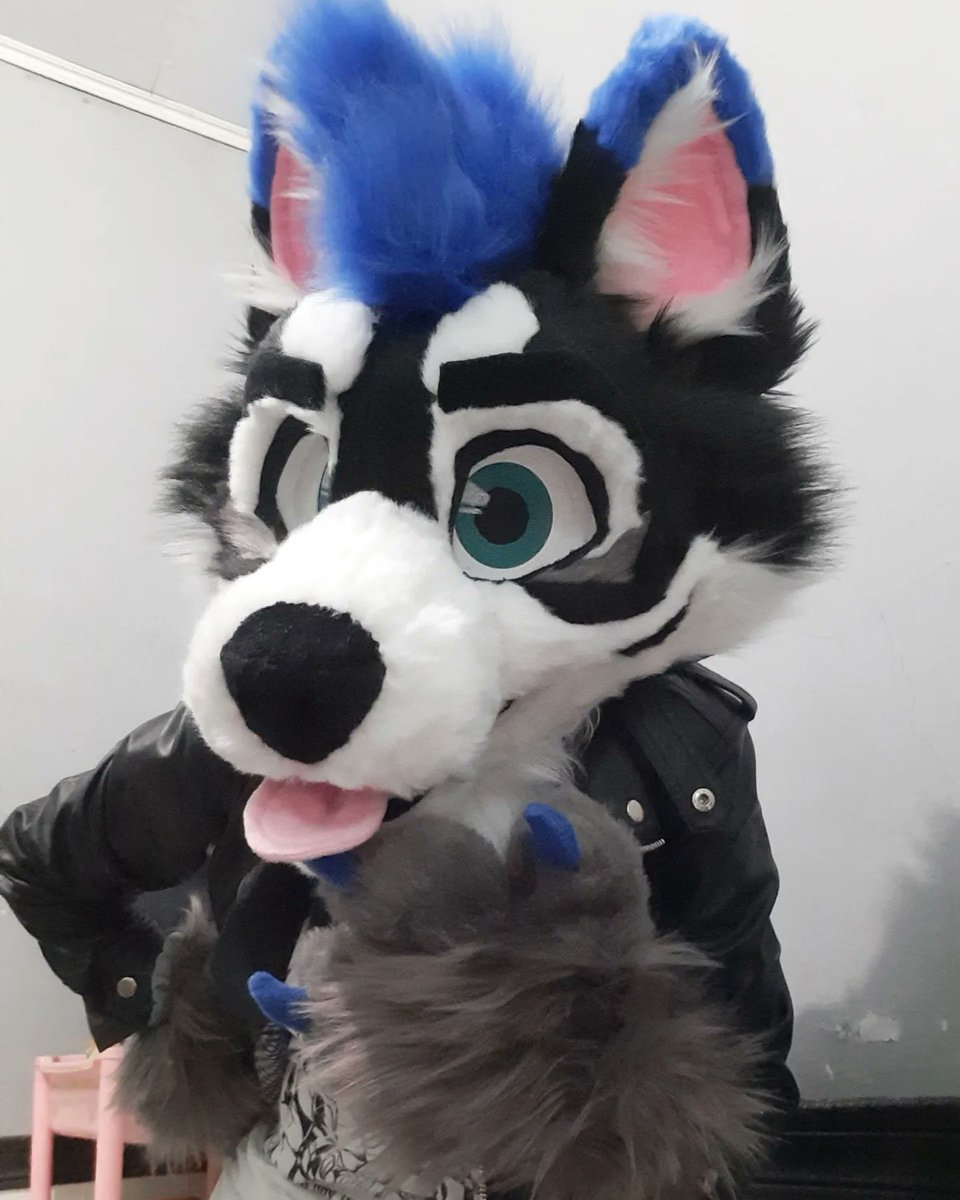 Vulpes_Paw Fursuit tweet media