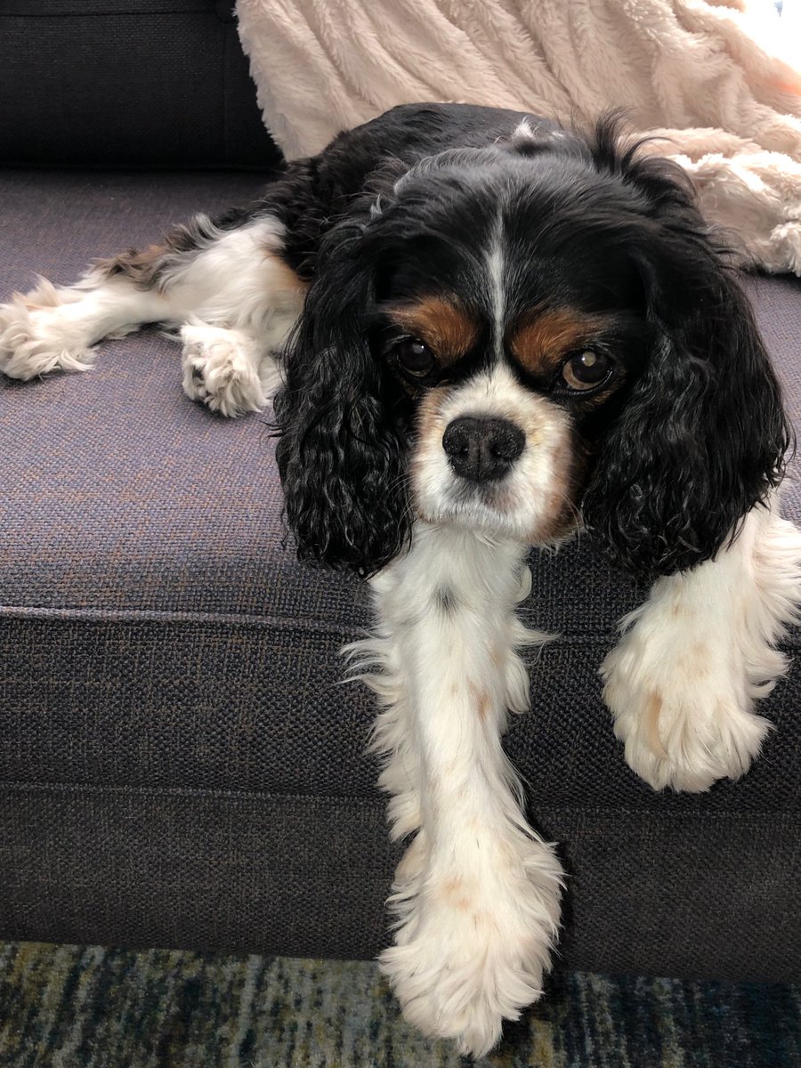 Yes it is true I was once the Queen of England! <a href="/PrimeVideo/">Prime Video</a> #Myladyjane