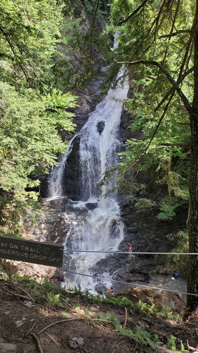 Axelthebigdog's tweet image. Cider and hiking makes me such a happy doggy 🐶