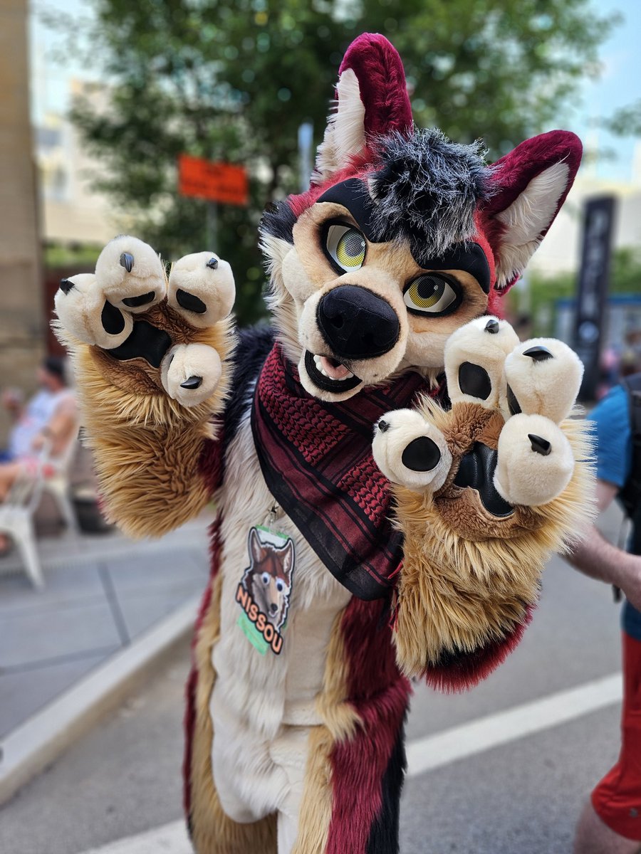 Cute photo of <a href="/NissouMutt/">Nissou</a> today at the block party!