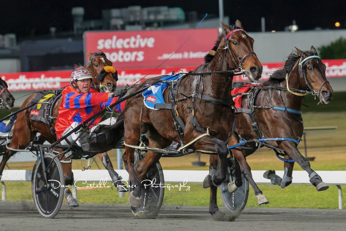 DanRacingWrap's tweet photo. Deus Ex under the urgings of Nathan Dawson take out and action packed race 3 @TheCreekAlbion for trainer @mjbutler63 https://t.co/jI0zHj1hHk