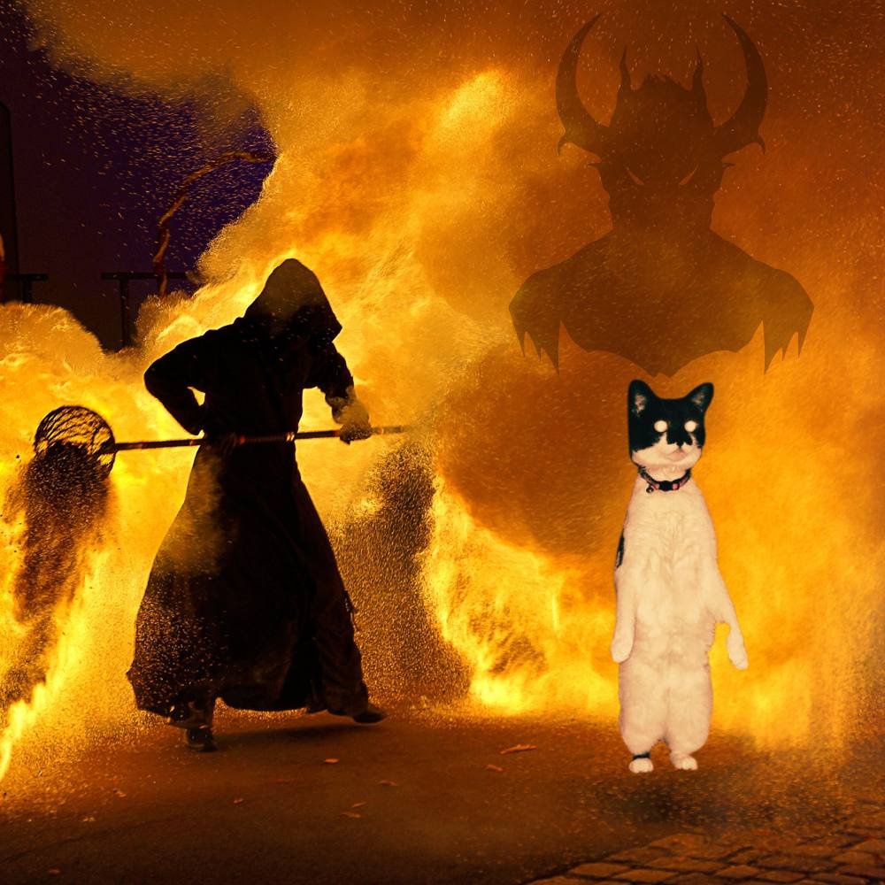 Don Othello tweet media