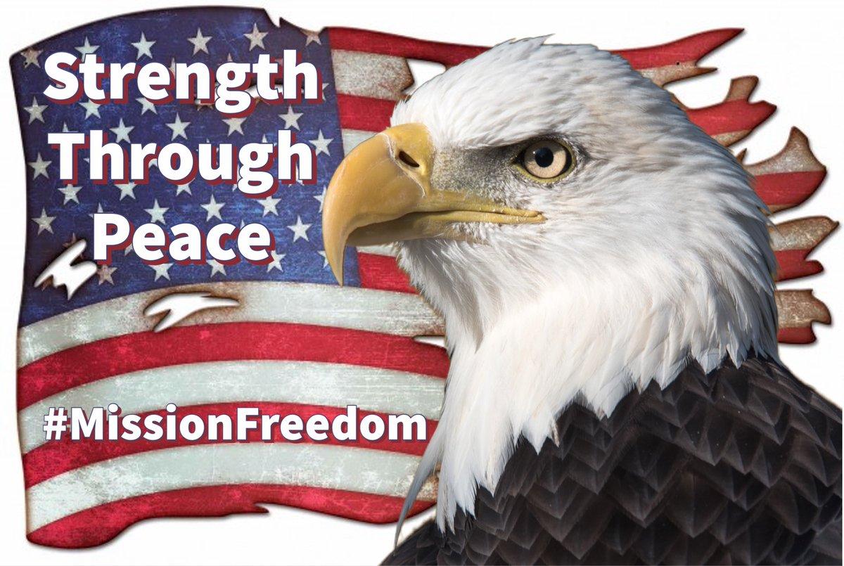 AzPinkLady's tweet photo. Remember our mission #TeamFreedom #MissionFreedom

We remain &amp; promote peace.

There will be a spark event - don’t buy into it. 

We get violent &amp; China &amp; the Deepstate wins.  

Peace IS our strength.

Our goal is freedom from these goons! https://t.co/9k7Qc4yfGB