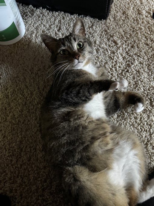 Watch Liam Jacobs😼's leaked NSFW photo on TwXstars