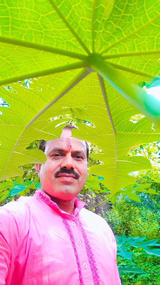 Jitendr55985677's tweet photo. प्रकृति के साथ जीने का आनंद ही कुछ और है इस मानसून हम वृक्ष अवश्य लगाए https://t.co/a3R2Vzjege