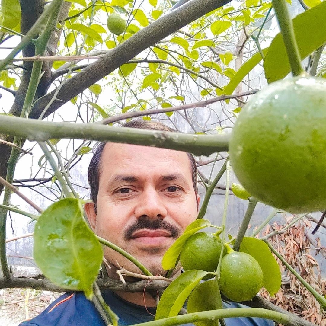 Jitendr55985677's tweet photo. प्रकृति के साथ जीने का आनंद ही कुछ और है इस मानसून हम वृक्ष अवश्य लगाए https://t.co/a3R2Vzjege