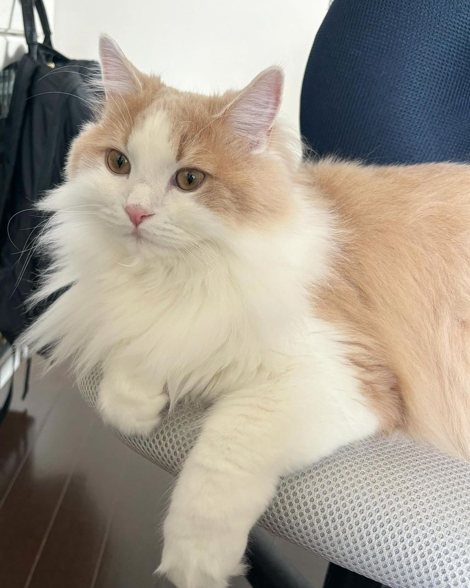 麗しきかな美男子…🥺🩷