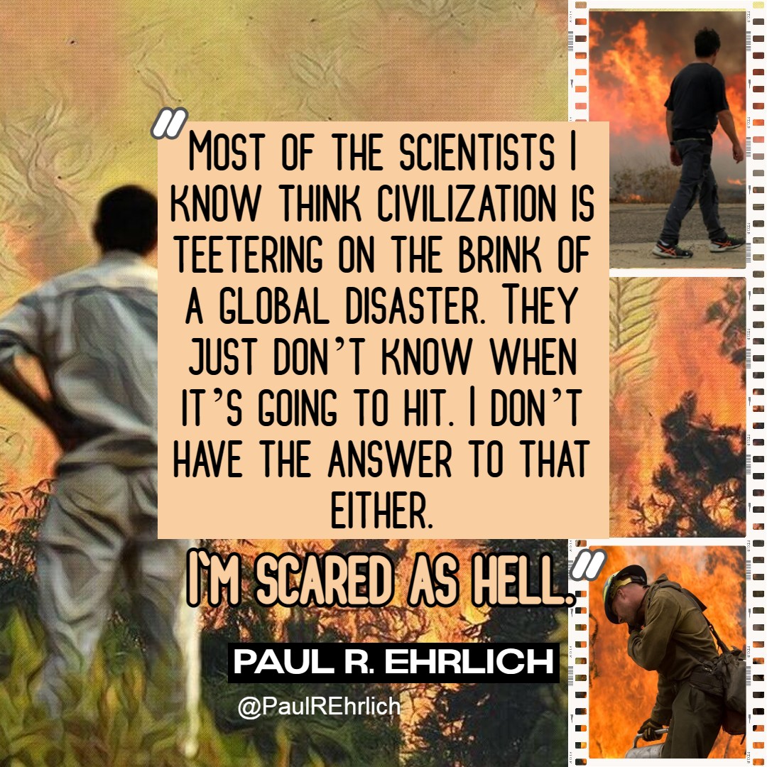 "I'm scared as hell" 
<a href="/PaulREhrlich/">Paul R. Ehrlich</a> 
American biologist 
Professor Emeritus of Population Studies of the Department of Biology of Stanford University.
#ClimateEmergency 
"Most of the scientists I know think civilization is teetering on the brink of a global disaster"