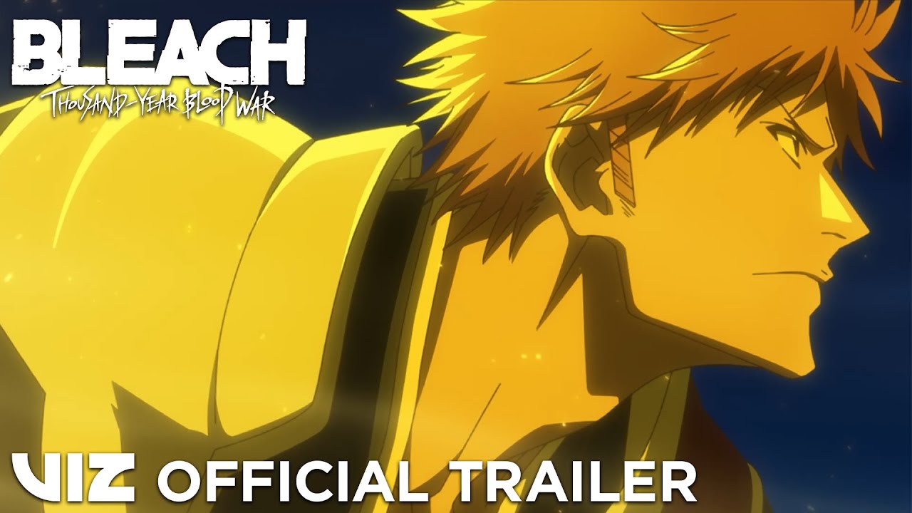Bleach subbed best sale