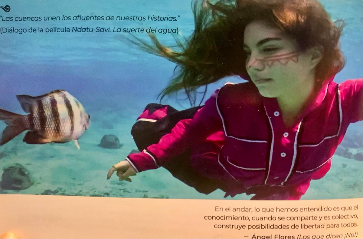 Hoy inició la Muestra de cine de los pueblos originarios y afrodescendientes en el Zócalo de la Ciudad de México. En pocas ocasiones se pueden disfrutar películas premiadas que representen a los pueblos originarios, indígenas y afromexicanos.

Felicitaciones a <a href="/imcine/">IMCINE</a>, a