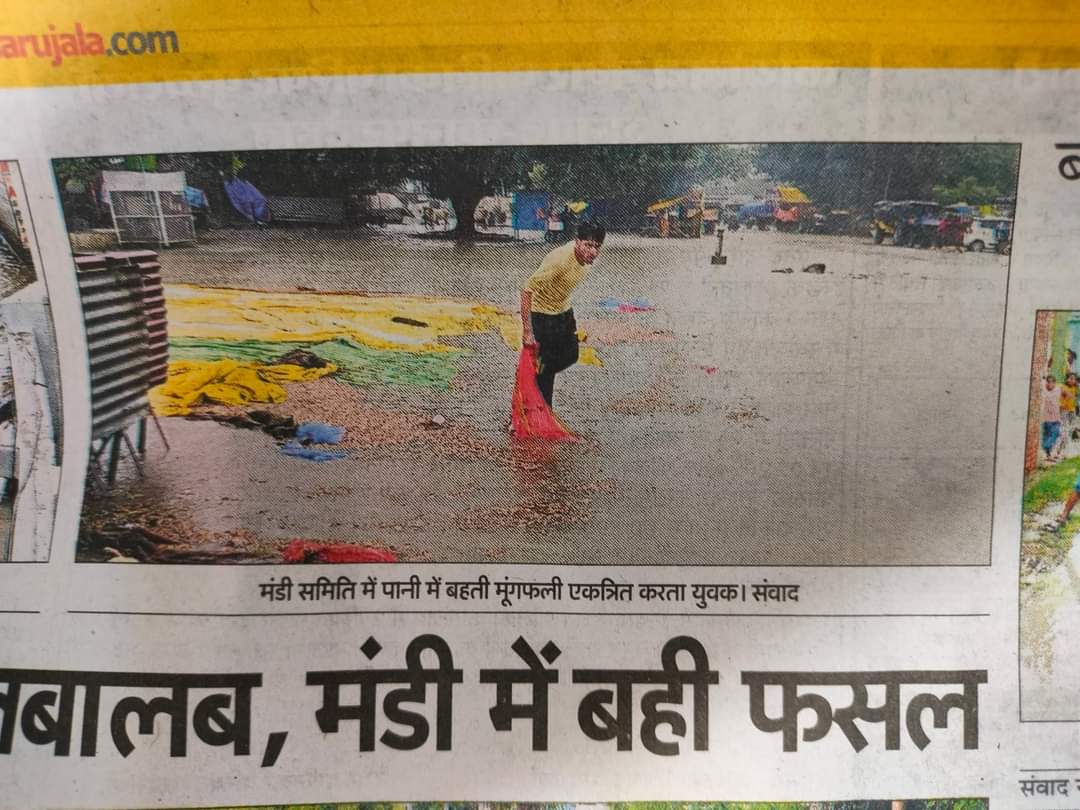 rajeshsinghch11's tweet image. माननीय मुख्यमंत्री जी जरा ध्यान दें हमारी मंडी की तरफ भी थोड़ा सा ध्यान दीजिए,नालिया तो बंद पड़ी हुई पानी में हम किसानों की फसले डूब रही है
  आपसे निवेदन है अन्य जनपद से इसकी जांच करवा कर कार्रवाई करवाने की कृपा करें 
@myogiadityanath @adj @dm_kannauj @narendramodi 
@aajtak