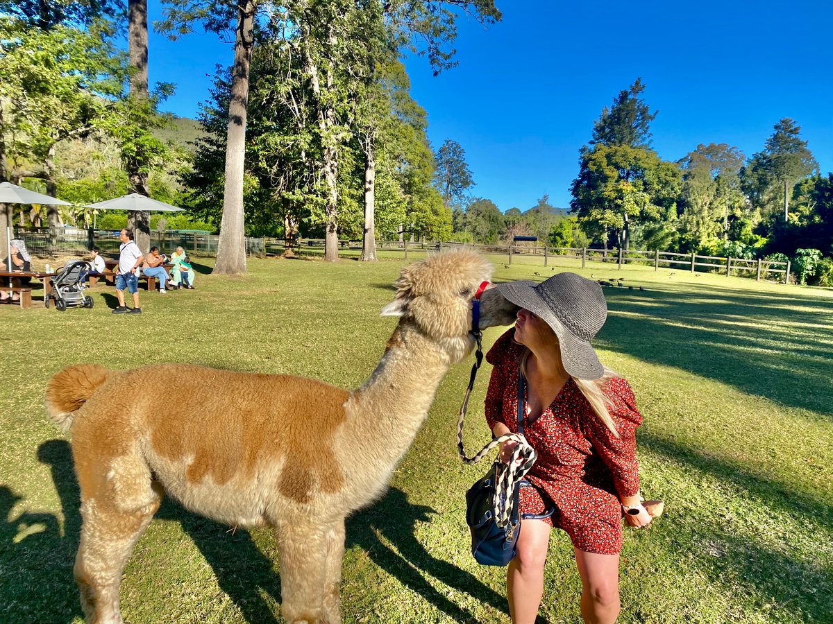 Megan McGrath tweet media