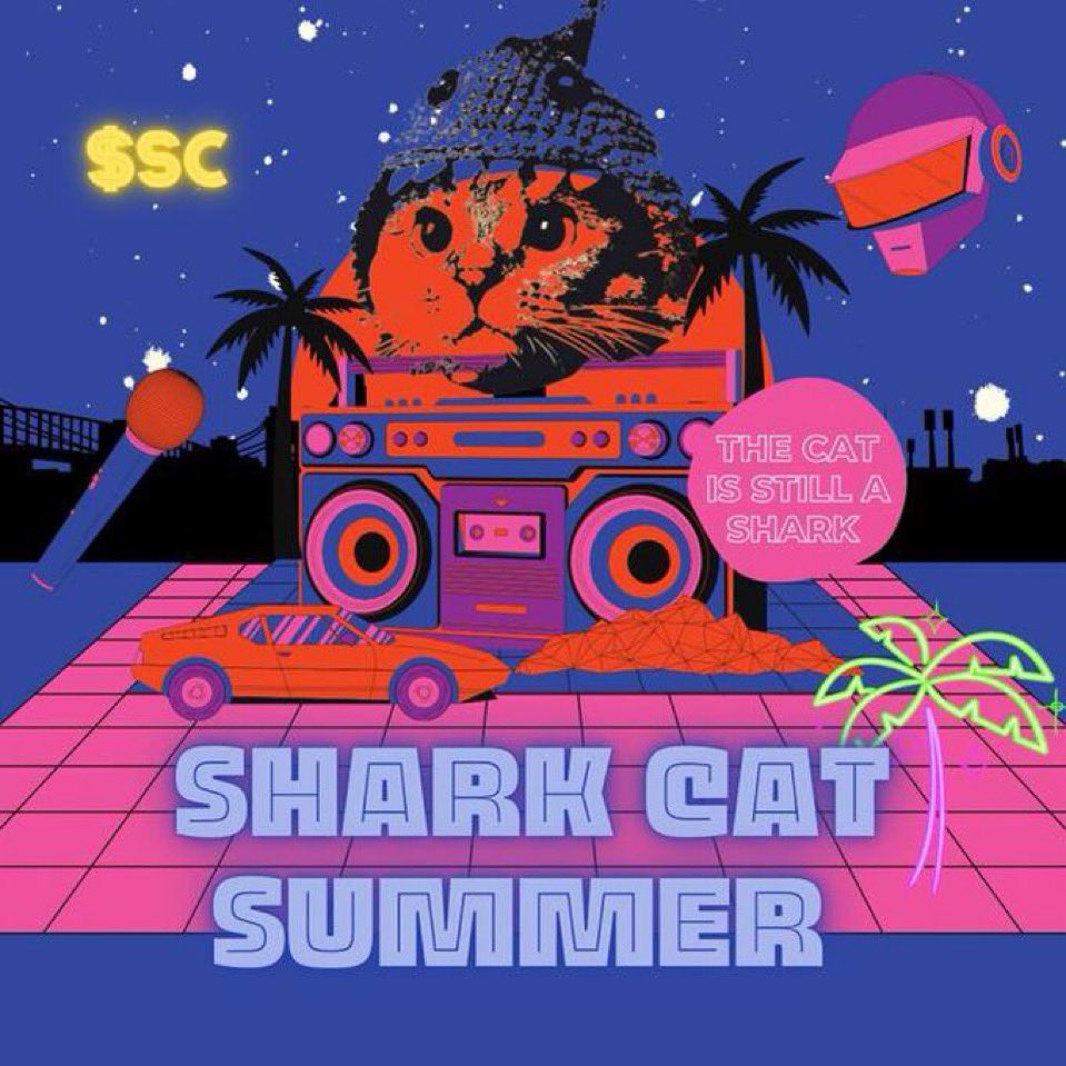 Shark Cat 🦈🐱 tweet media