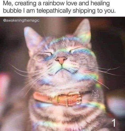 My heart is so full 🫶🏼 https://t.co/NHBRZmxInS