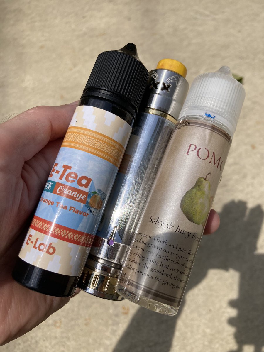 thevapest's tweet image. では本日も🚴‍♀️走ってきます♪

お供は私のスースー🆒ブラザーズ👬さんたち

#vapecommunity
#ELAB
#namelesselement