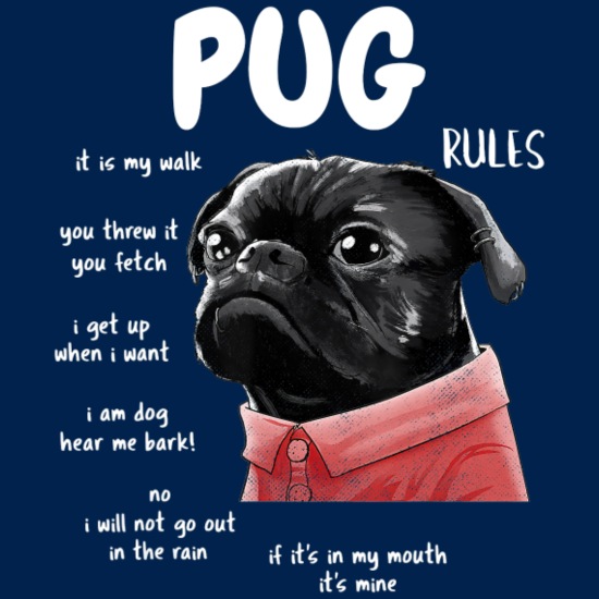 Pug Lover Community (@puglover4426) on Twitter photo 