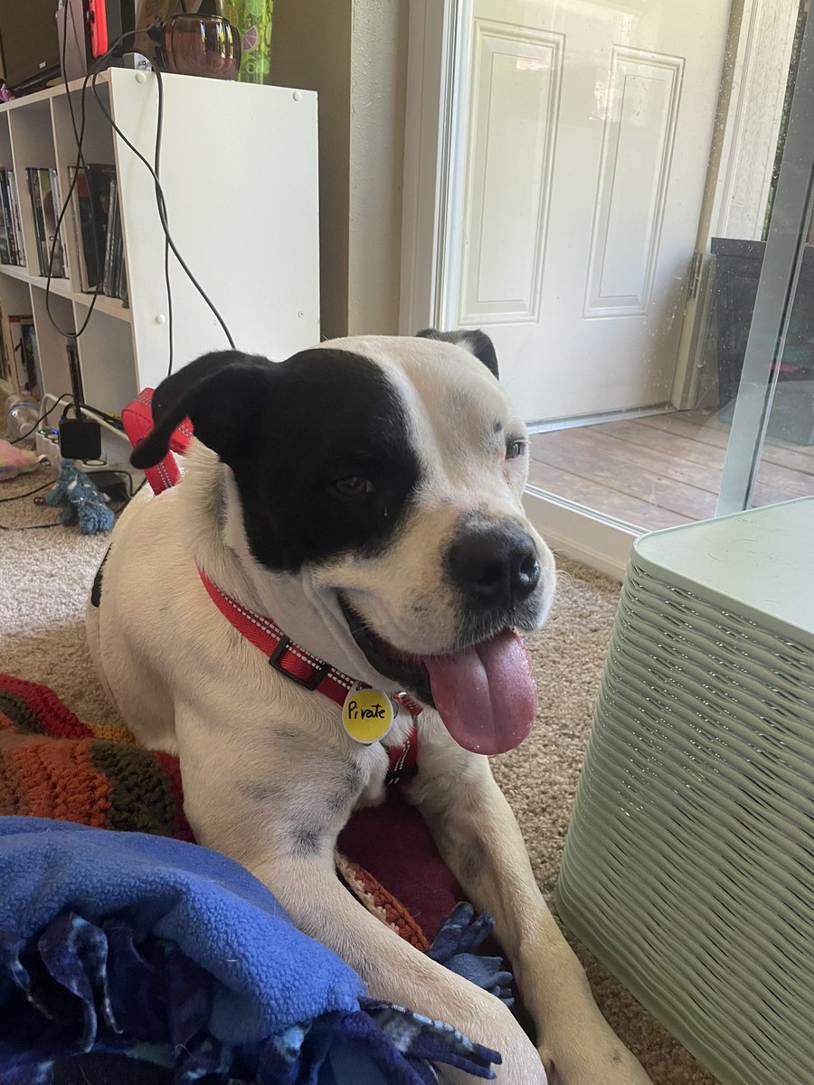 Alex (Taylor’s Version) tweet media