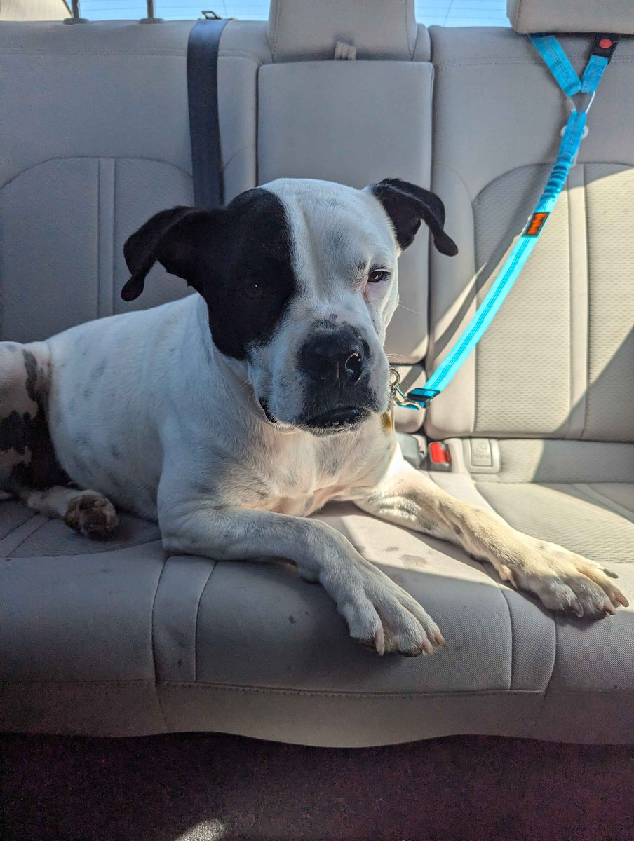 Alex (Taylor’s Version) tweet media