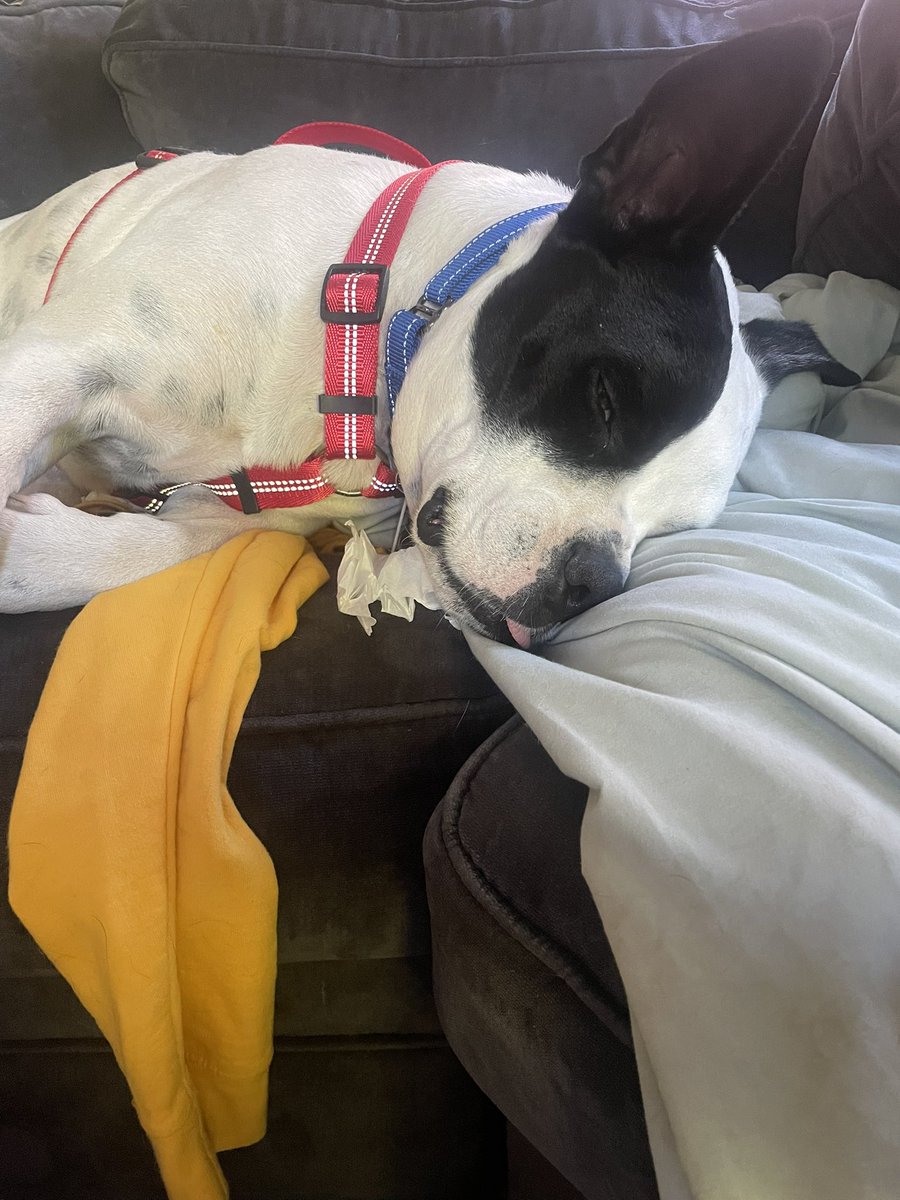 Alex (Taylor’s Version) tweet media