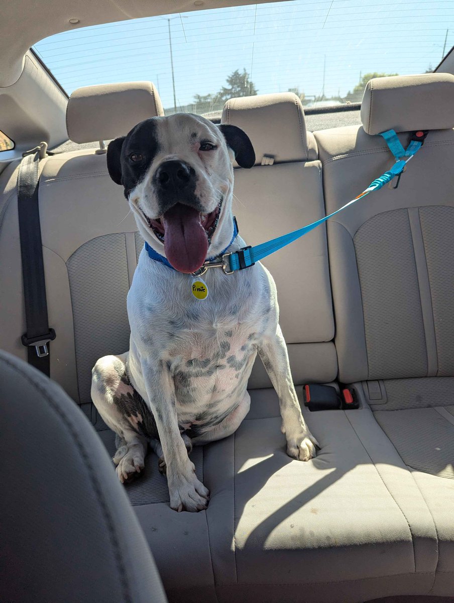 Alex (Taylor’s Version) tweet media