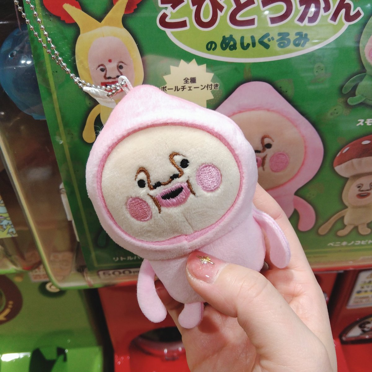 ✨🙌✨完売→再入荷✨🙌✨ #Qualia ▫こびとづかんのぬいぐるみ