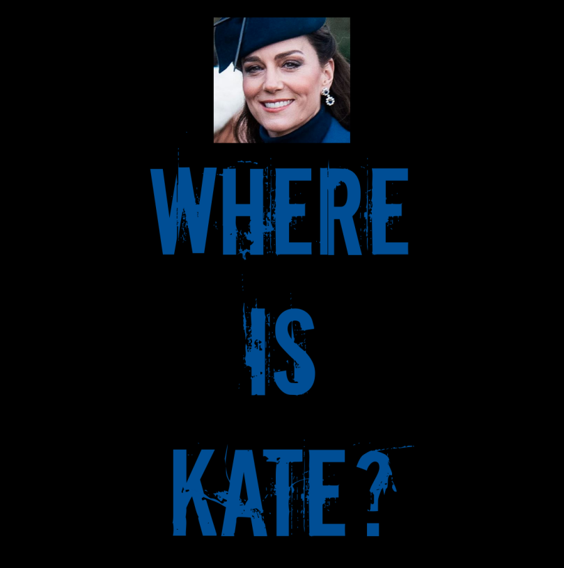 NWDisorder1111's tweet photo. 195 days ago, Kate was seen with her family on Christmas Day.   

She then disappeared from the public for 173 days until allegedly appearing at Trooping the Colour. 

That was 22 days ago and there have been no sightings of her. 

#WasThatKate
#WhereIsKate 
#RoyalDeception https://t.co/nBQOUVcIBe