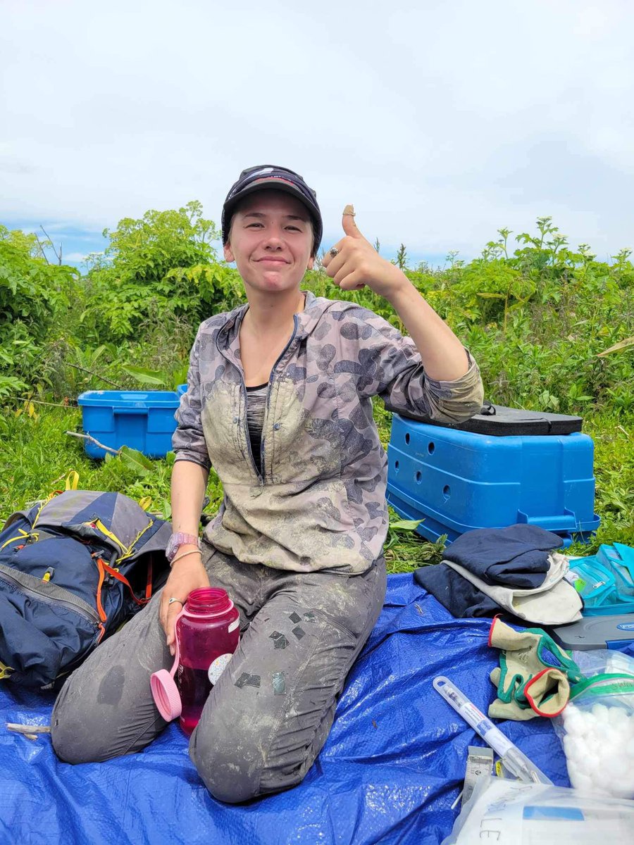 Christina Petalas (@c_petalas) on Twitter photo Recapturing GLS on common murres today, safe to say I got a little 💩 on me #teamauk <a href="/SeatrackScience/">SEATRACK project</a> Recapturing GLS on common murres today, safe to say I got a little 💩 on me #teamauk <a href="/SeatrackScience/">SEATRACK project</a>