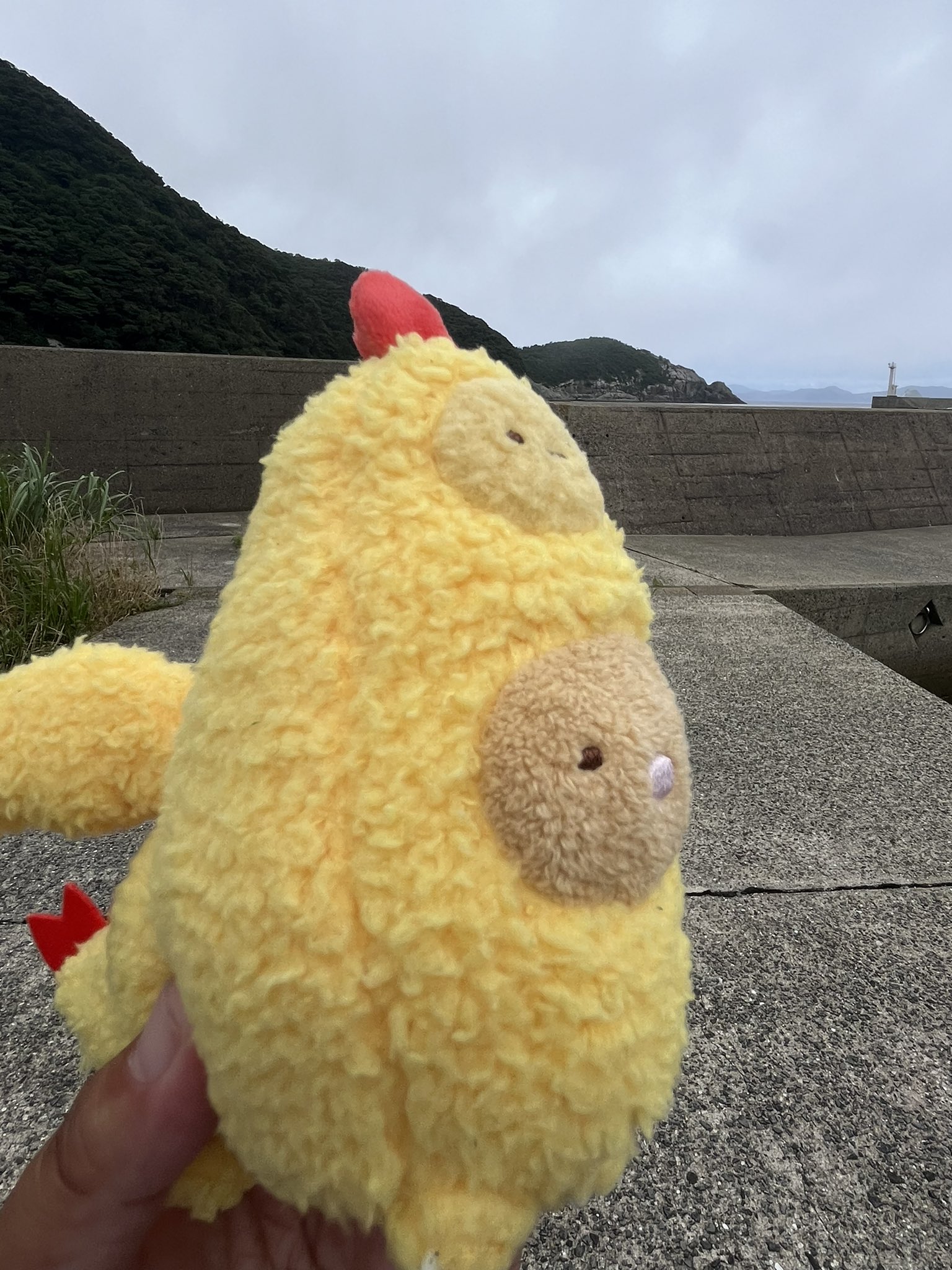 すみっコぐらし 揚げ物怪獣エビフライドン ぬいぐるみ