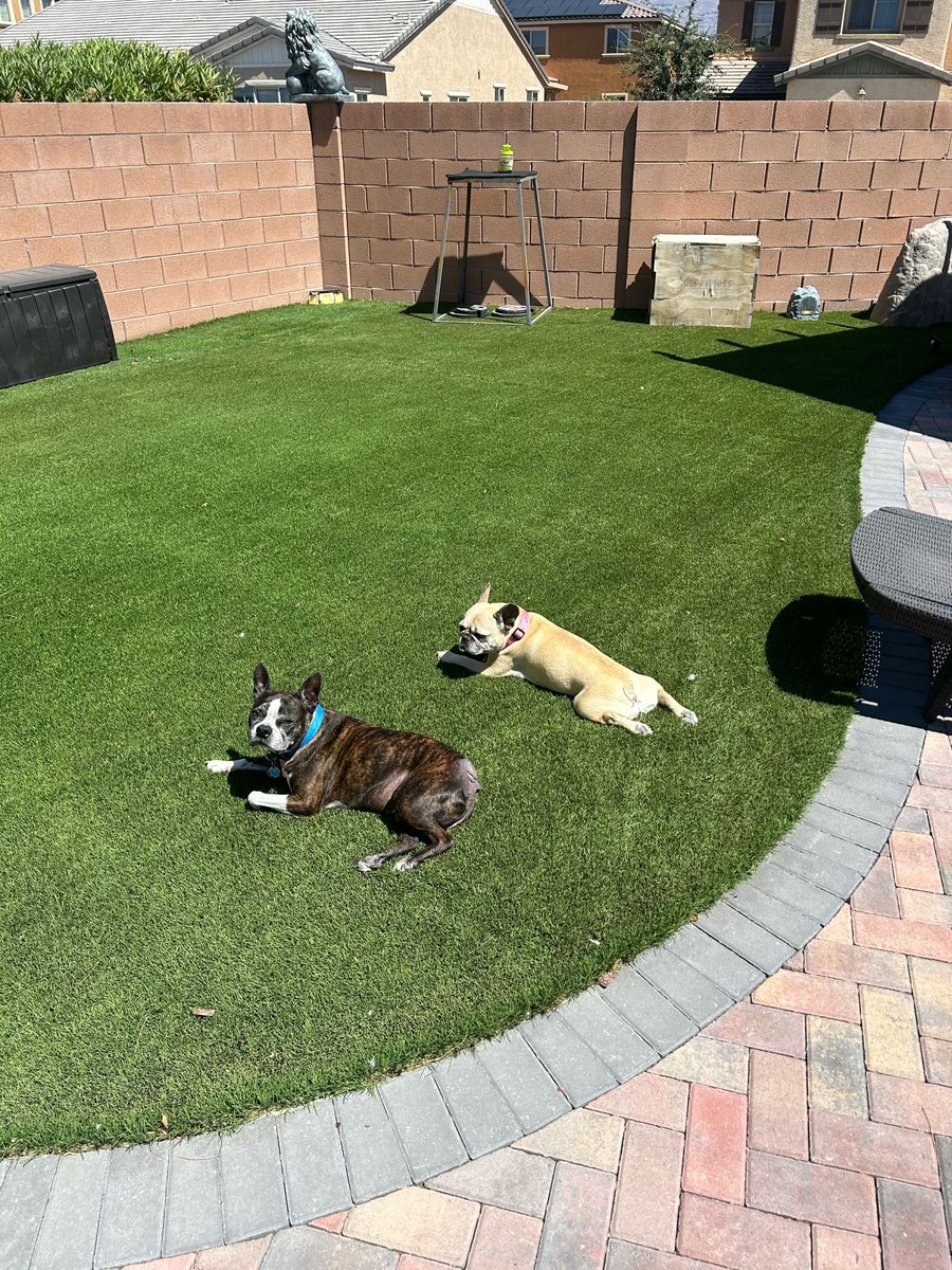 Thank you to all the great people and fans out there that see this!