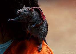 Sebastian gives you all a kiss