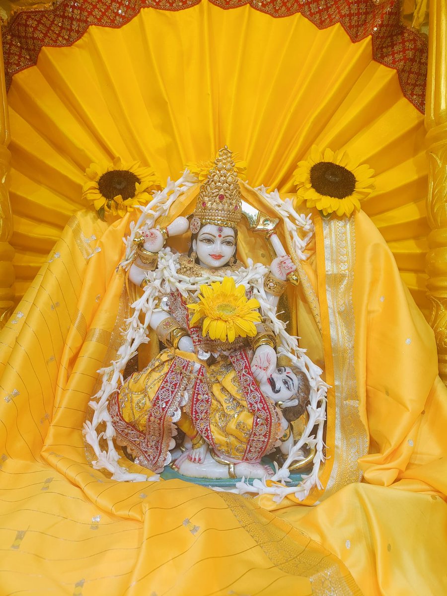 There are only three shortcomings in life: Daaridrya (poverty), Dukha (sorrow), and Bhaya (fear). If Maa Baglamukhi is pleased, all these things will be fixed.