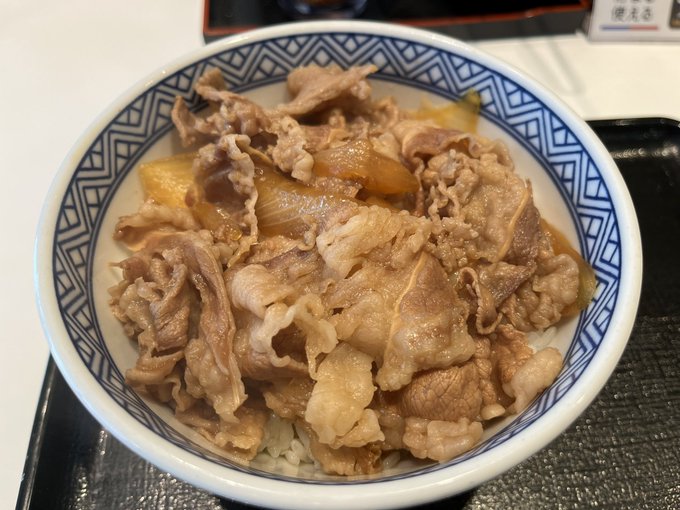 選挙のついでにキチジョージモケイ見てきたあと吉野家の牛丼食べた暑い 
