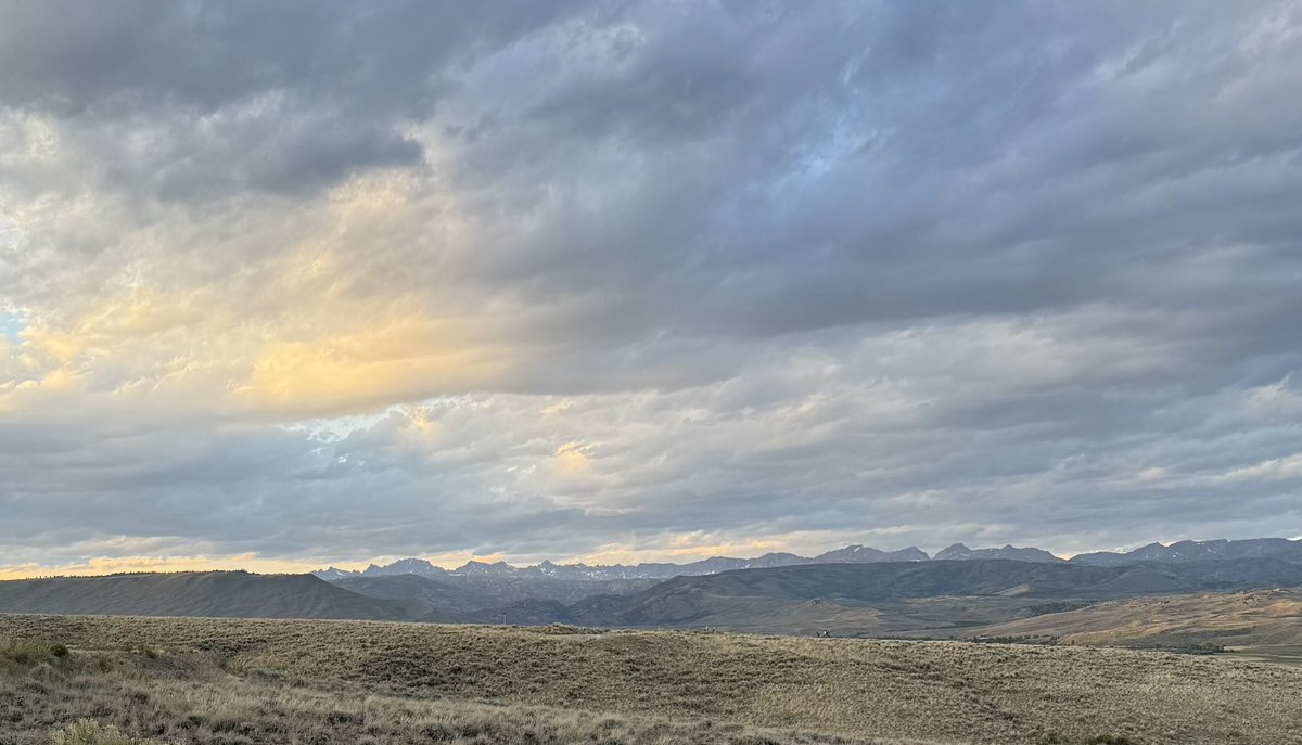 Cory Barnes tweet media