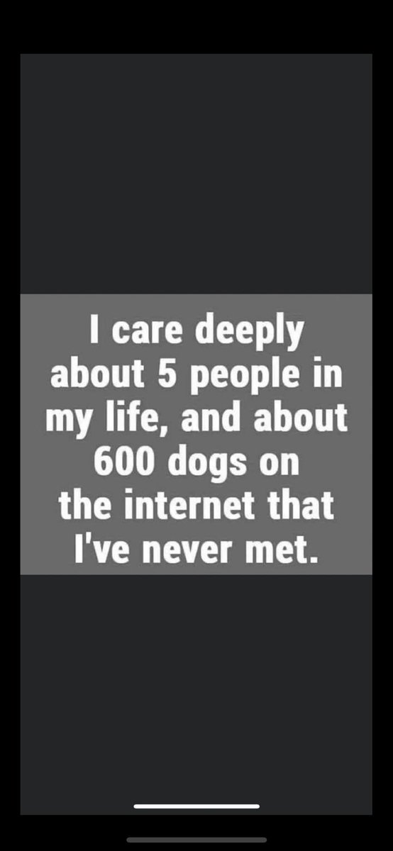 CoryJoy's tweet photo. Can never say this enough 🥰🐾💋🙌🩵🦴…..🫶🏼 https://t.co/xQ00LdNvPQ