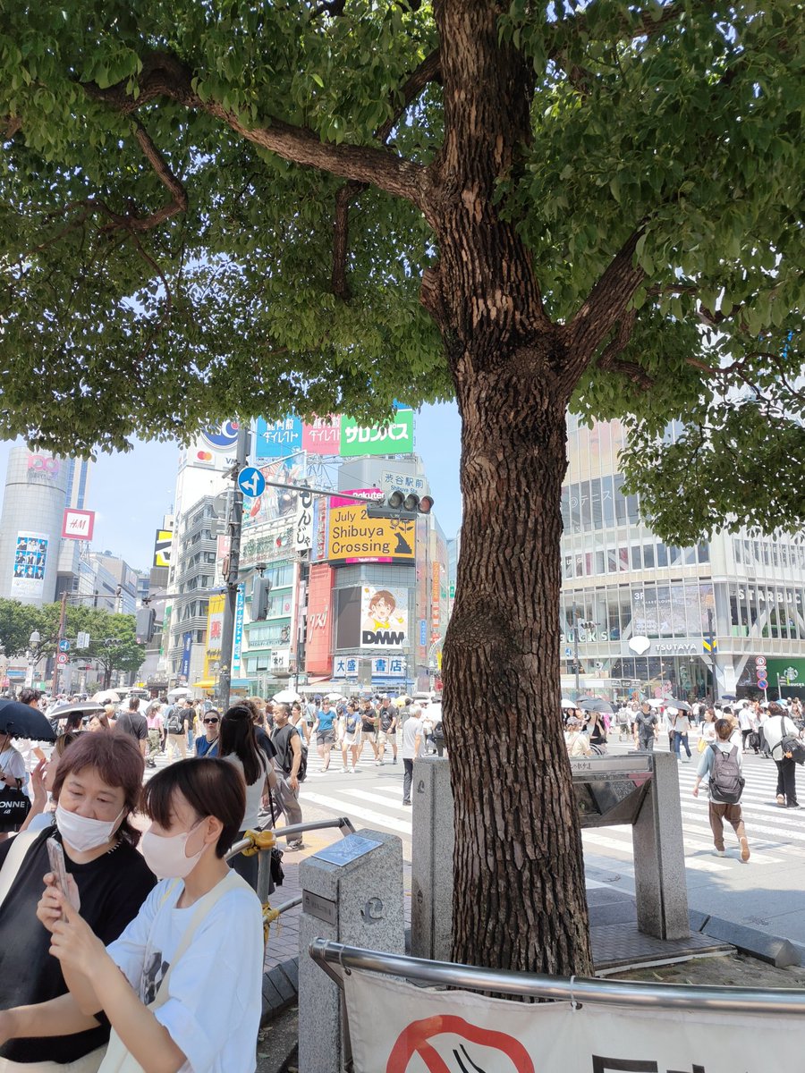 muyjj's tweet photo. https://t.co/LDC0BUyYAX