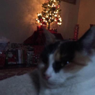 charmander 🌈 ♥️ tweet media