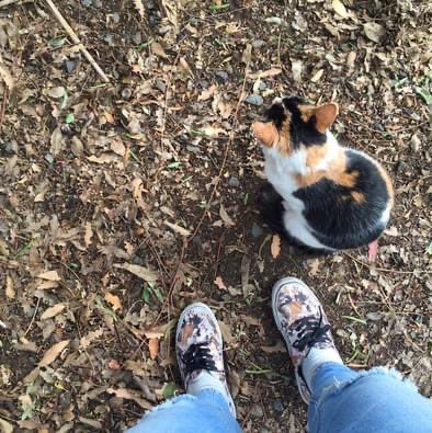 charmander 🌈 ♥️ tweet media