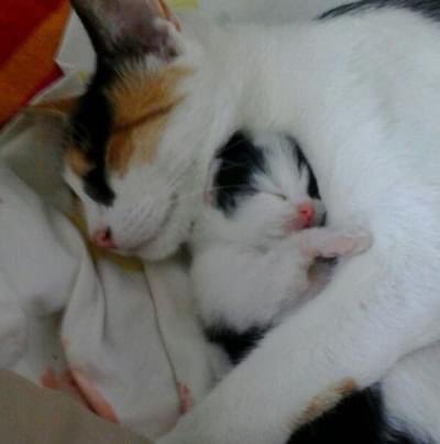 charmander 🌈 ♥️ tweet media