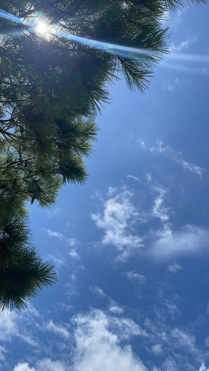 今空。
暑いー
でも子供達元気😀

#今空
#公園
#おなかすいた