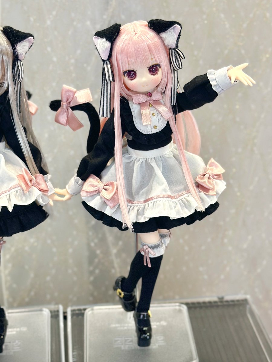 からふるDreamin'】 ☆#アイドール東京 展示中☆ 『めばえ～夢見るねこ