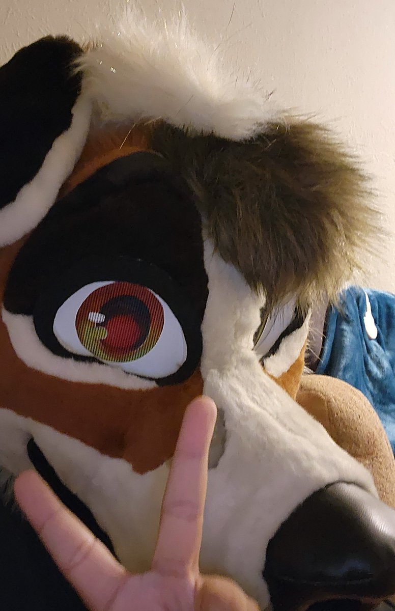 🐾 Ｒｅｍｕｓ 🐾 tweet media