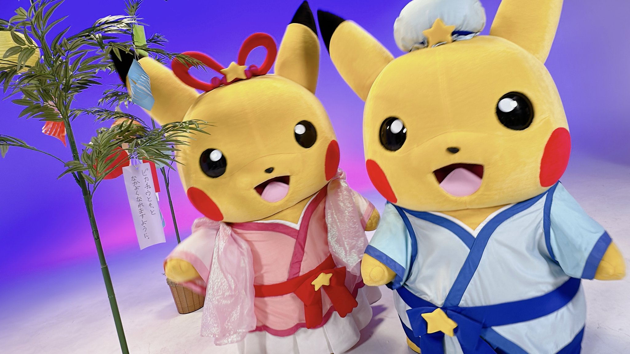 ポケモンだいすきクラブ編集部【公式】 on X: 